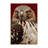 Washable Red tailed Hawk Birds Area Rug-1822411368