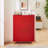 Shoe Storage Cabinet with Flip Drawers