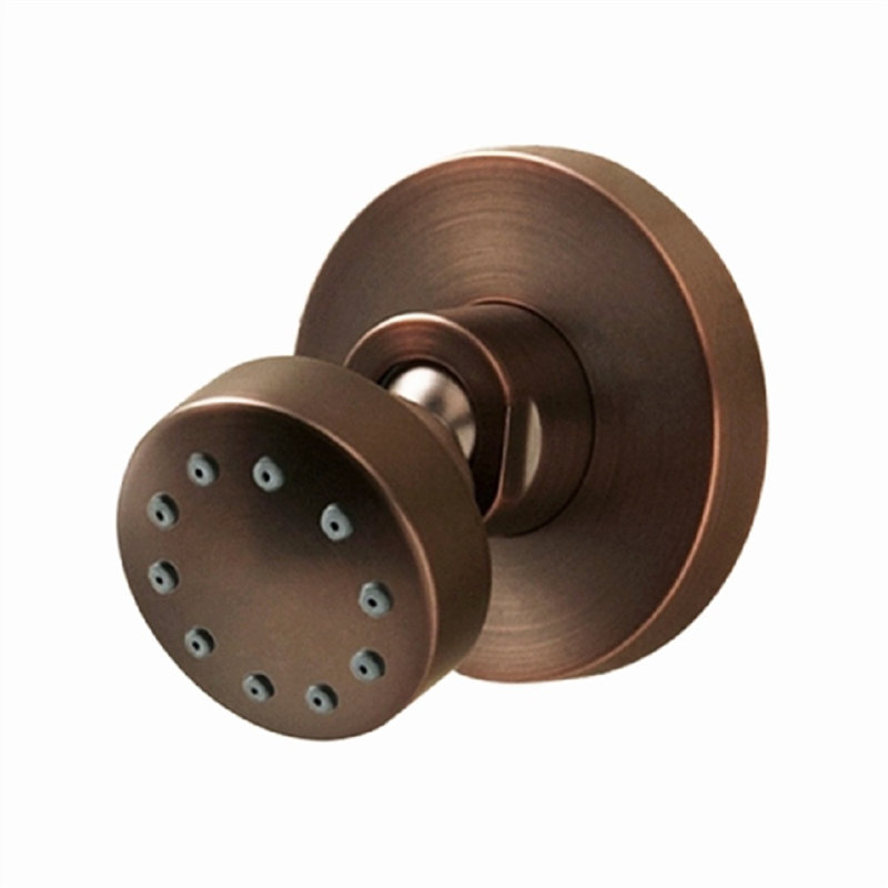 Système de douche thermostatique avec jets de corps en bronze huilé