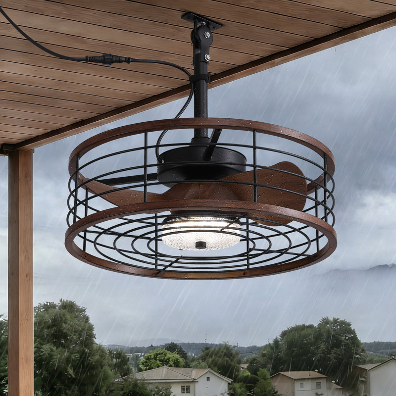 Lieuwe 20" Outdoor Waterproof Caged Ceiling Fans with LED Light and Remote Control Included