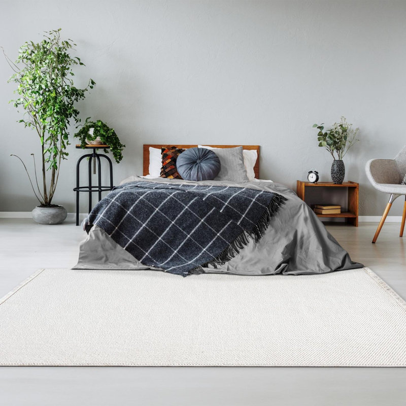 Textured Fringed Area Rug, Rectangle 8' x 10', Cream