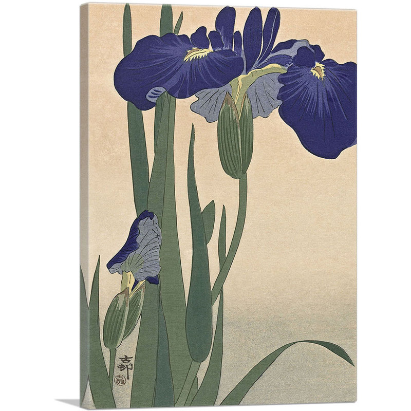 " Blue Iris ", 18" H x 12" W x 1.5" D