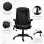 Executive Chair-818605032