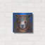 "Gus" par Melissa Symons-435200662