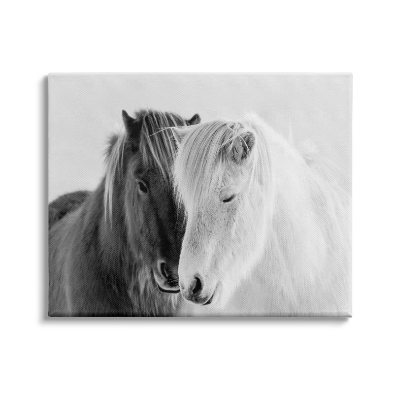 «Wild Horse Animal paire», art mural sur toile surdimensionné noir et blanc par Danita Delimont