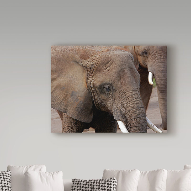 «Elephants 2» de Fillmer, reproduction de photo sur toile tendue, H 35 po x l 47 po x P 2 po