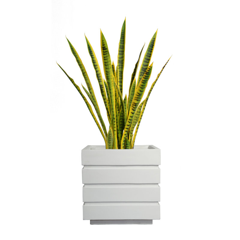Serre artificielle en pot 35 po Panama, Blanc