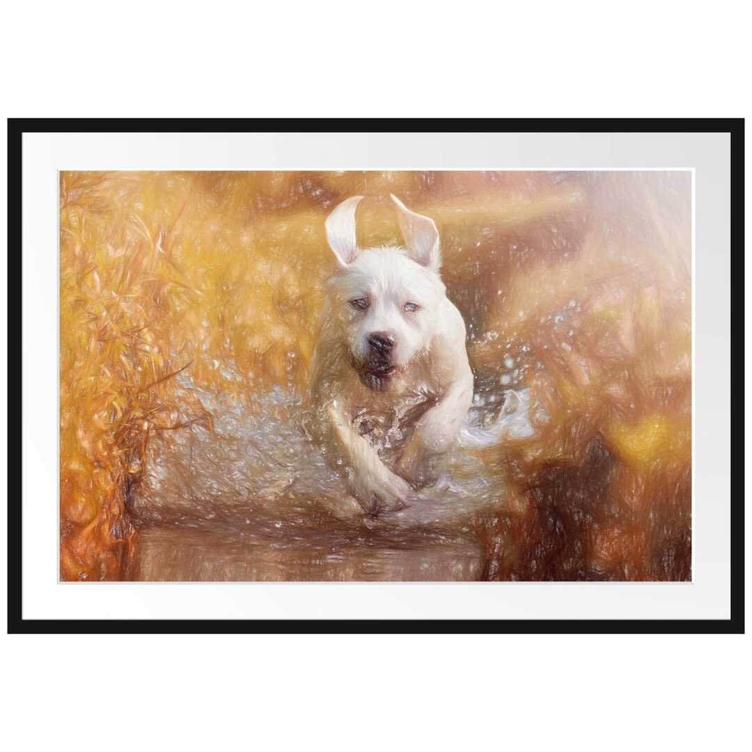 Gerahmtes Poster Labrador-Welpe Wasser