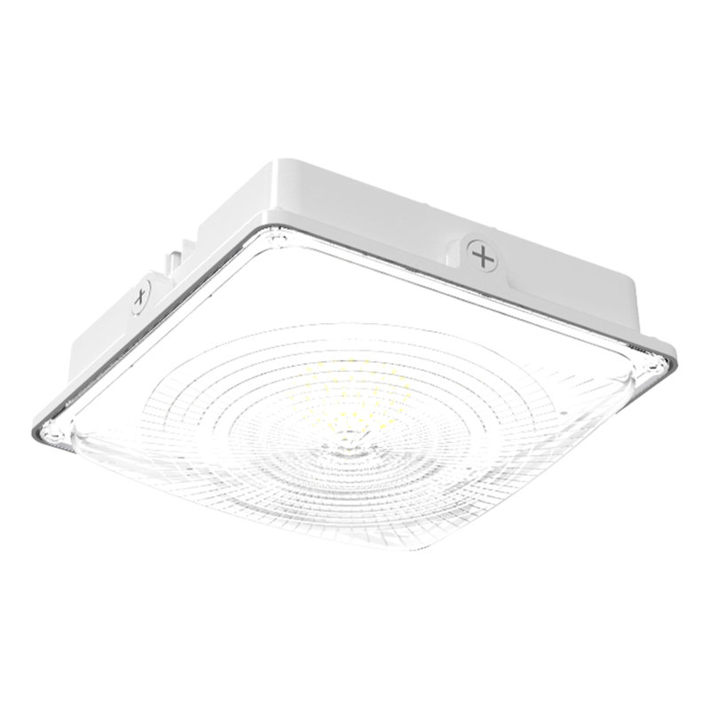 Dimmable Square Canopy Light, White