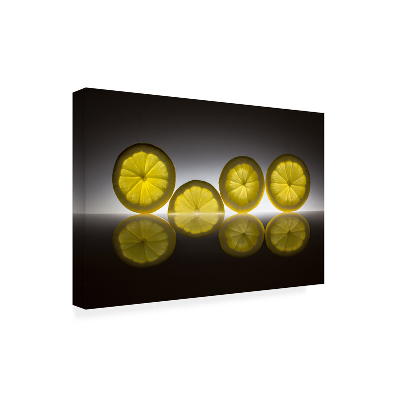 Wrapped Canvas Wall Art - Wieteke De Kogel 'Lemon' Wall Art for Living Room, Bedroom, or Office Décor - 12x19, 12" H x 19" W