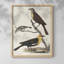 «Vintage Animal XIX» - reproduction de cadre de coin fermé-127730112-127730113
