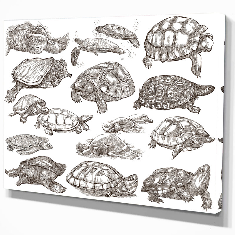 Tortues - impression d'art graphique, H 30 po x l 40 po x P 1,5 po, Toile tendue