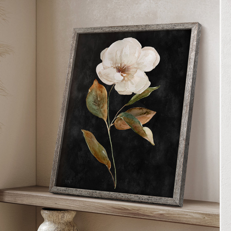 «Botanical on Black Wash I», reproduction encadrée - bois massif 49987, H 30 po x l 24 po