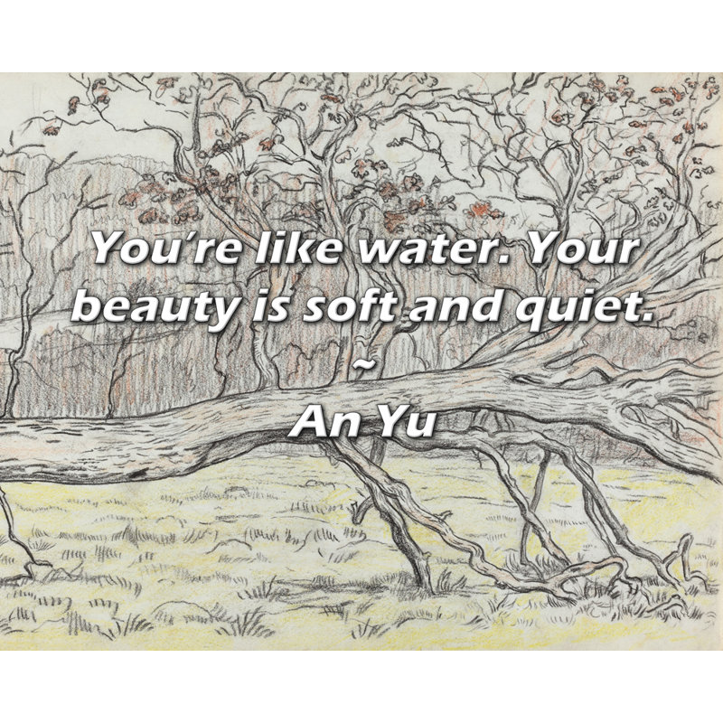 Une citation de Yu: Vous êtes comme l'eau. Votre beauté est douce et silencieuse., H 15 po x l 18 po