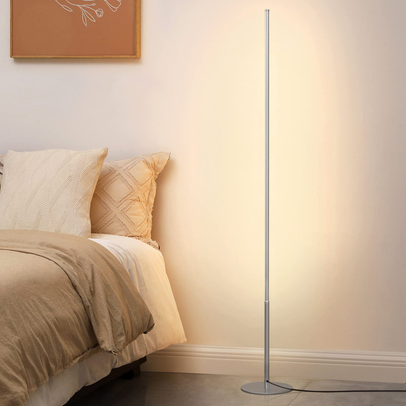 2 Pack 147cm Modern LED Floor Lamp, Silver