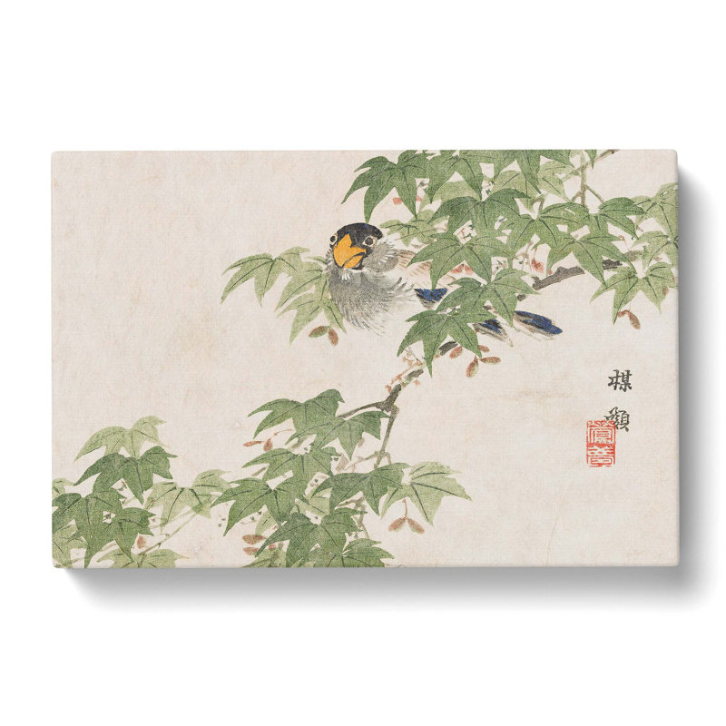 Parrot In A Tree by Kono Bairei - Wrapped Canvas Print, 50cm H x 76cm W x 3cm D