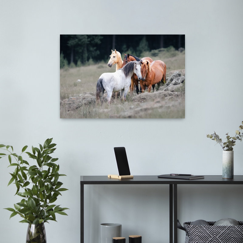 Print, 40.64cm H x 60.96cm W