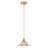 1-Amber iron dimmable glass pendant light