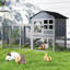 Small Animal Playpen