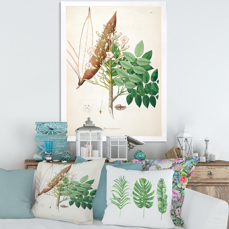 «Vintage Botanicals» - Peinture sur toile, H 32 po x l 24 po x P 1 po, Cadre photo blanc