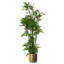 150cm Faux Plant in Metal Planter-1516446486