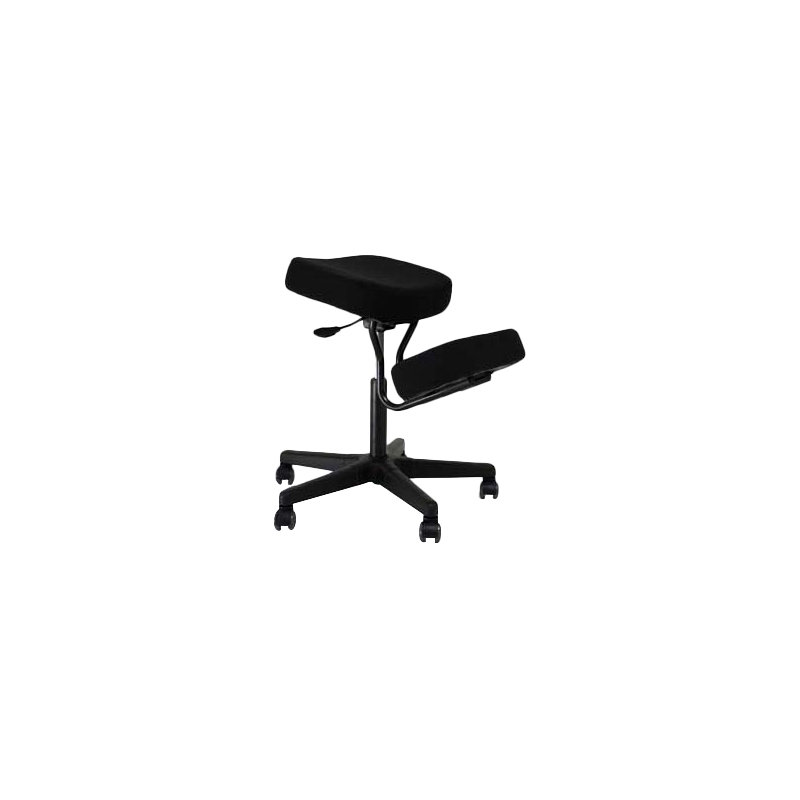 Fauteuil à hauteur réglable Wasson Plus