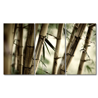 3 Piece Wall Art on Canvas