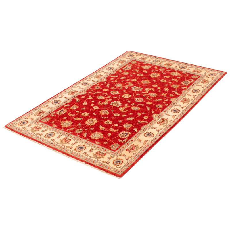 Tapis unique en laine noué à la main 5 pi 5 po x 8 pi 4 po nouvel âge Peshawar