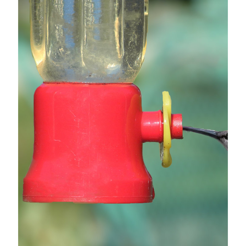 Mangeoire pour colibris Elser