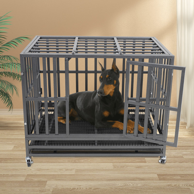 Cage pour chien en métal Archie & Oscar, H 30 po x l 25,1 po x P 37 po