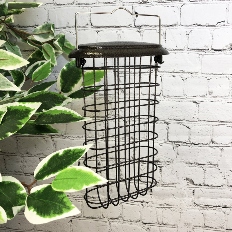 Elsass Suet Bird Feeder