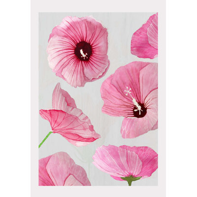 Pink Rose Of Sharon On Taupe Print
