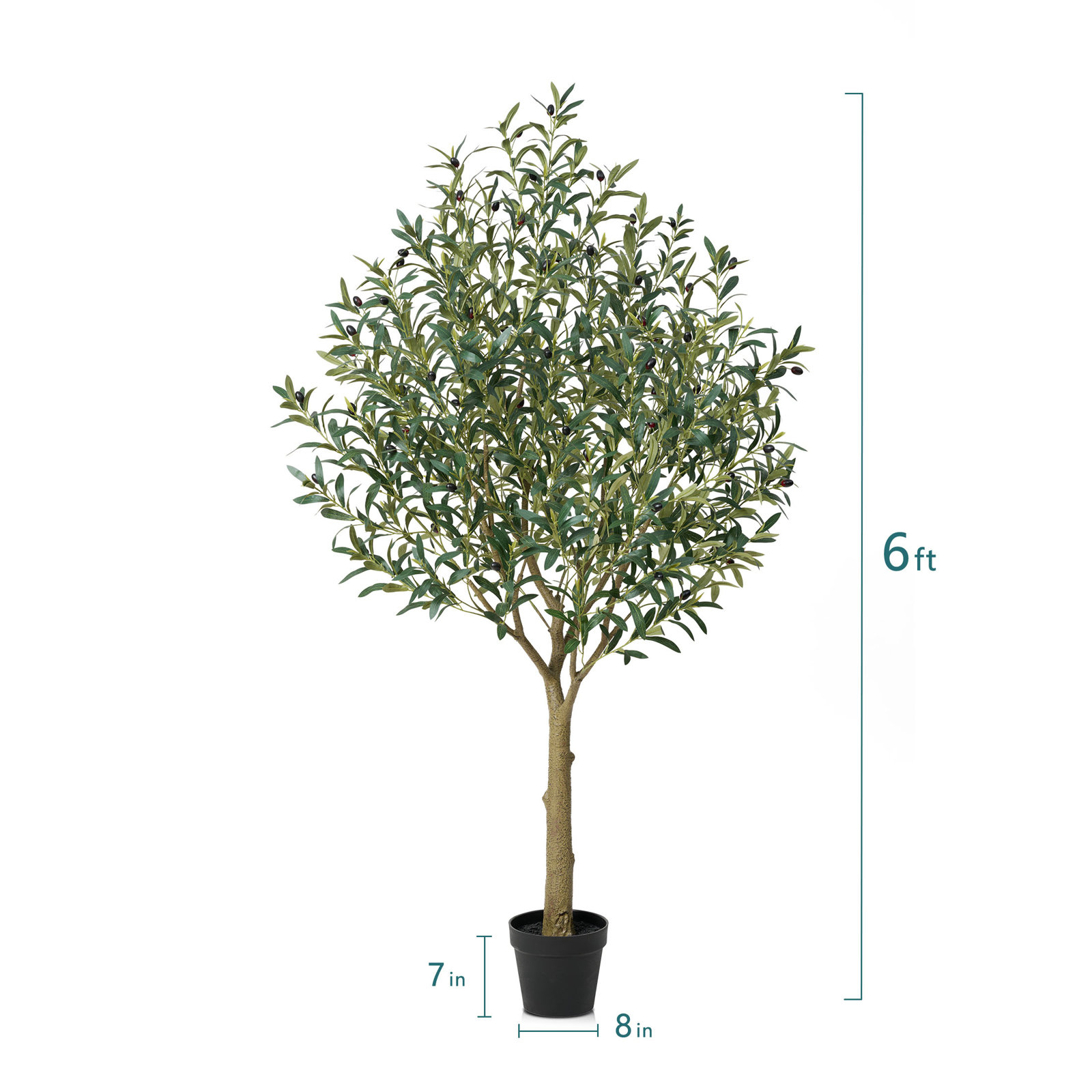 George Olive Tree in Pot, 72" H x 24" W x 24" D