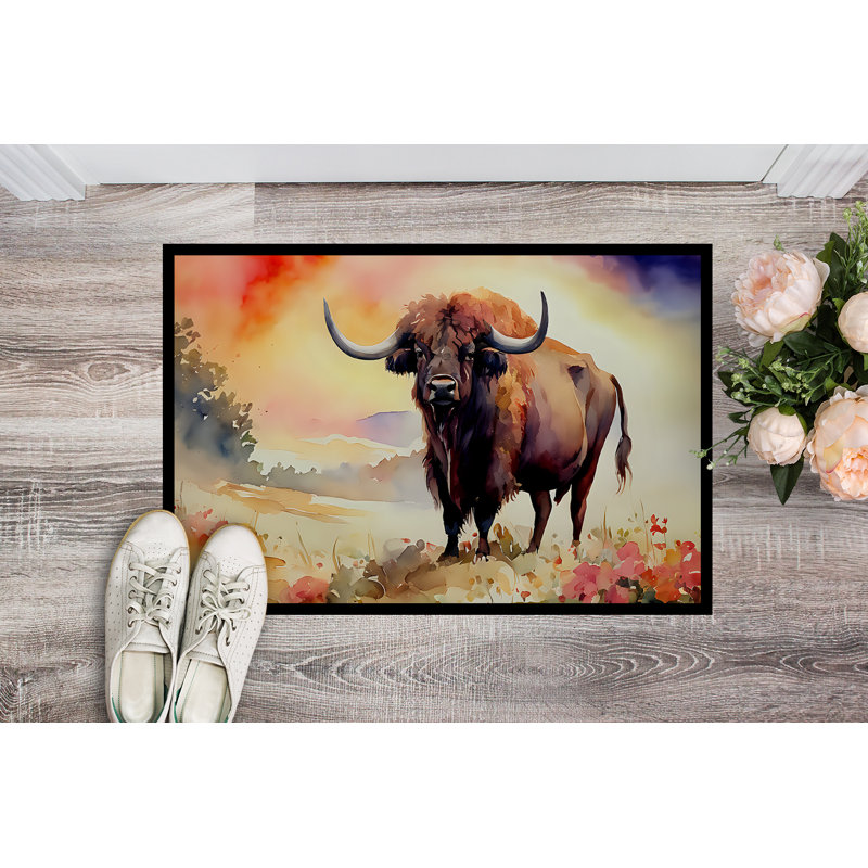 Lucielle Non-Slip Doormat, 18'' W x 27'' L