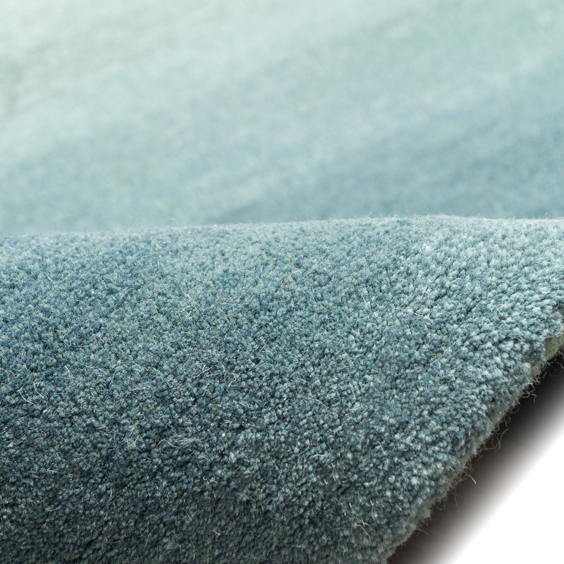Tapis bleu / blanc en laine touffeté à la main, Rectangle 5 pi x 7 pi 6 po