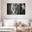 Lion sauvage monochromatique Brampt-108008542
