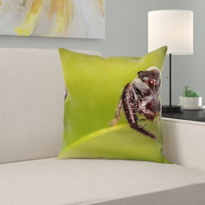 Coussin de spider saut