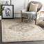 Hodder Southwestern Indoor Rug-1619223309