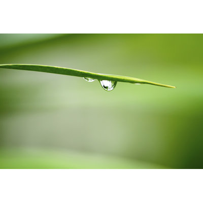 Goutte d'eau - photographie sur toile tendue