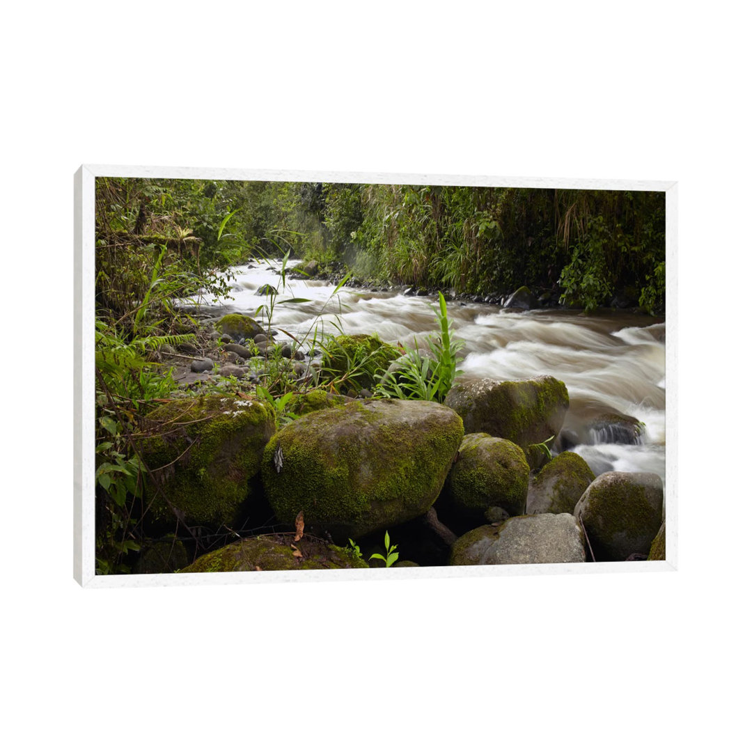 Mindo River Flowing Through Cloud Forest, Ecuador von Tim Fitzharris - Gallery-Wrapped Canvas Giclée on Canvas