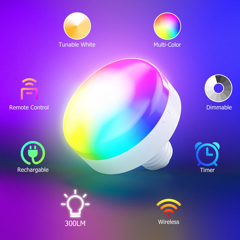 2-Light Night Light