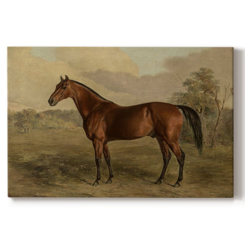Botanique rétro - Cxxi, H 13 po x l 19 po x P 1,5 po, Toile tendue