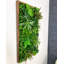 106cm Plant-1867390958