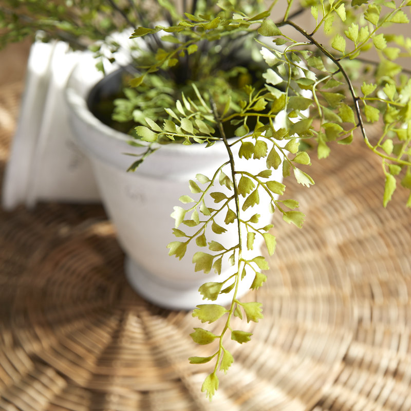 Faux Fern Plant in Planter