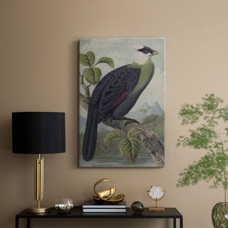 Imprimé animalier rétro XXXV - galerie Cavas, H 18 po x l 12 po