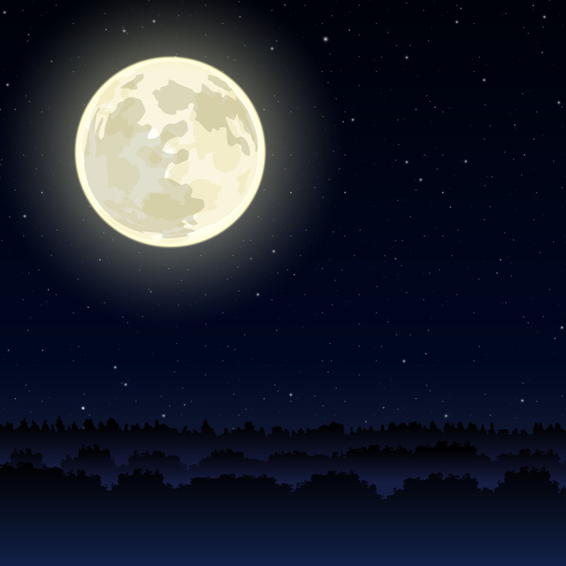 Night Night - Photographie sur toile tendue, H 12 po x l 12 po