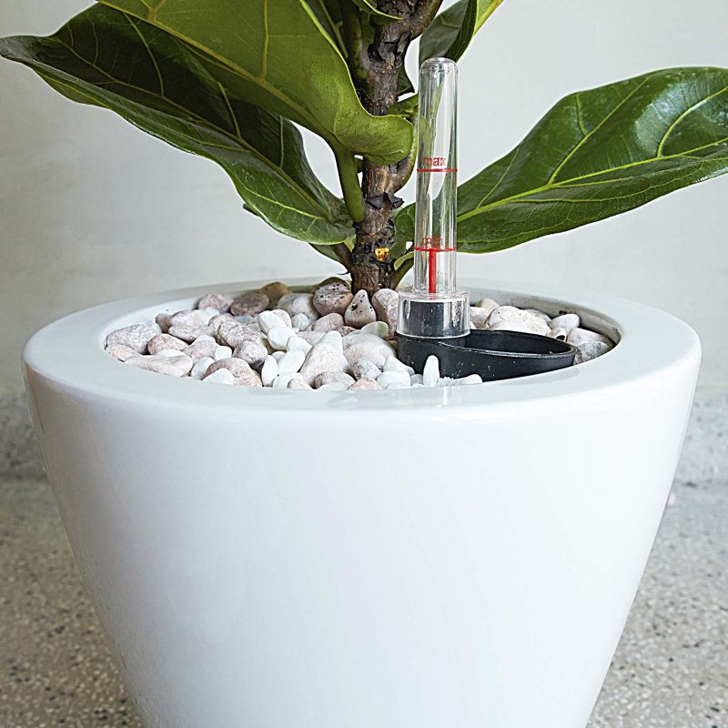 Pack Smart Self-watering Planter Pot for Indoor and Outdoor Cone, White