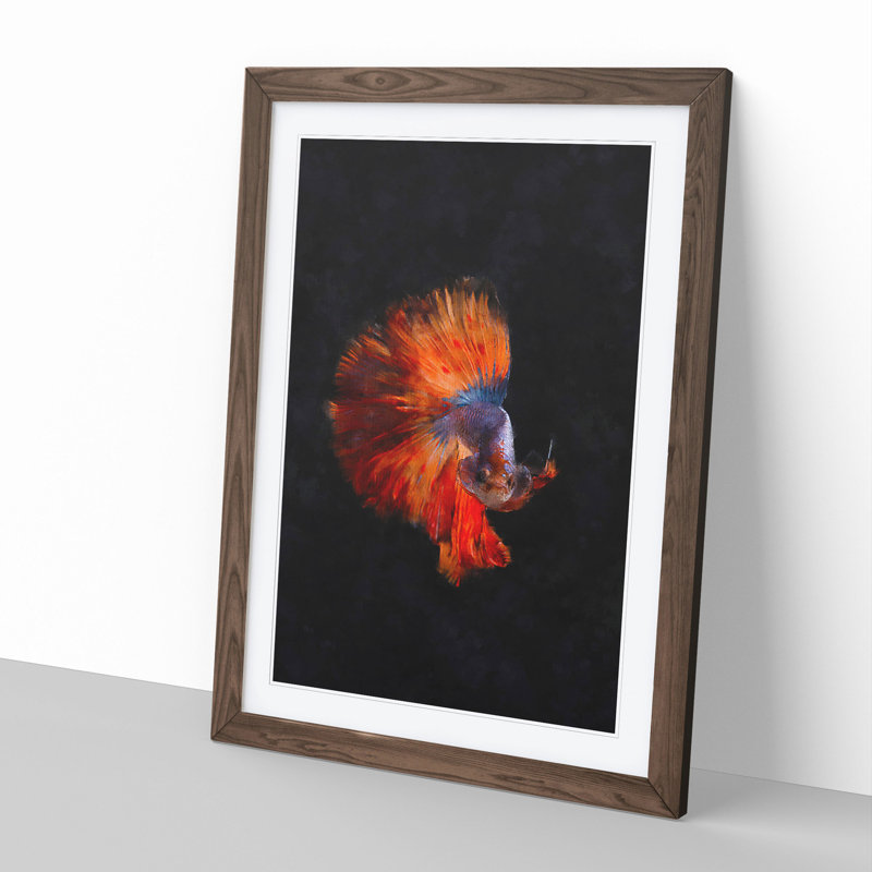 The Siamese Fighting Fish - Framed Print, 48cm H x 36cm W x 2cm D, Walnut Framed