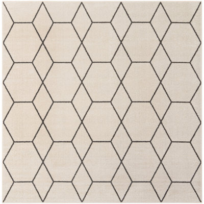 Arborville Makowski Rug