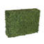 Hedge-1205756399
